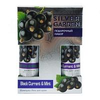 Ф 781 SILVER GARDEN ЧЕРНАЯ СМОРОДИНА И МЯТА (Шампунь 250 + Гель д/душа 250)