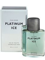 КПК parfum Платинум айс туалетная вода мужская 100 мл 