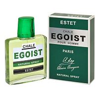 POSITIVE PARFUM EGOIST ESTET дезодорант мужской 90мл