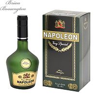 POSITIVE PARFUM Napoleon Very Special туалетная вода мужская 90мл 