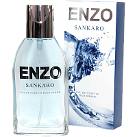 АА ENZO SANKARO т/в [M] 95мл 18шт/кор
