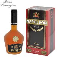 POSITIVE PARFUM Napoleon Grand туалетная вода мужская 93мл 