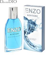 POSITIVE PARFUM ENZO KENTARO туалетная вода мужская 95мл 