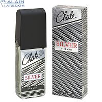 POSITIVE PARFUM CHALE SILVER туалетная вода мужская 100мл 