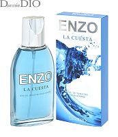 POSITIVE PARFUM ENZO LA CUESTA туалетная вода мужская 95мл 