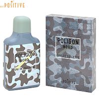 POSITIVE PARFUM POLIGON NORD туалетная вода мужская 100мл 