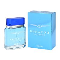 POSITIVE PARFUM SENATOR EAU FRAICHE туалетная вода мужская 100мл 