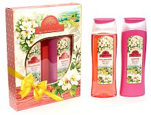 М 121 PROVANCE WILD ROSE  Под. Набор (Шампунь 250 + Гель д/душа 250) жен (MINI)