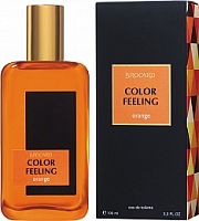 BROCARD GROUP COLOR FEELING ORANGE/Чувство Цвета Оранжевый туалетная вода мужская 100 мл