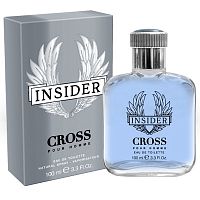 Delta Parfum Cross Insider/Кросс Инсайдер туалетная вода мужская 100мл