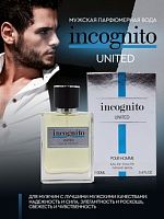 АртПарфюм Incognito United 100 мл муж [M] 12шт/кор